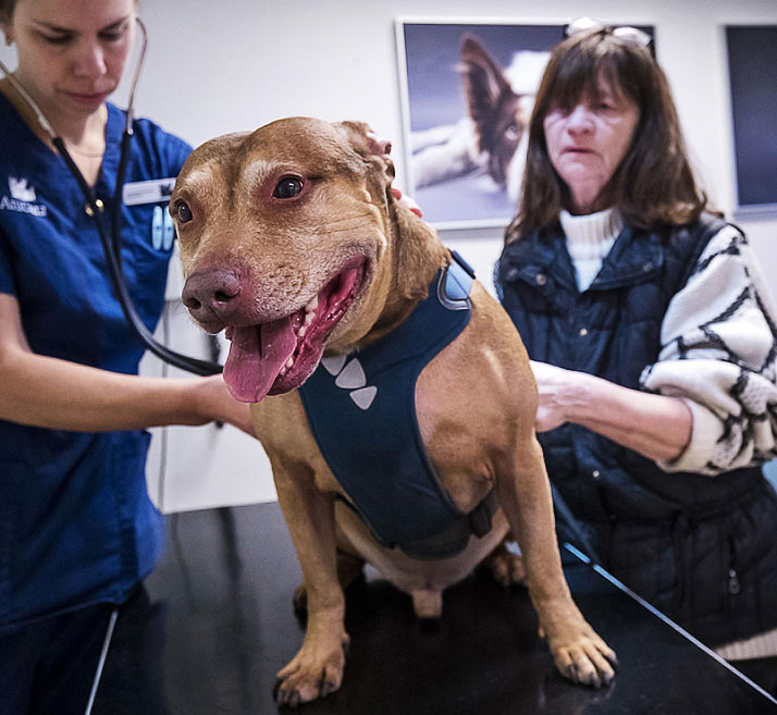 Mars Veterinary Health Giving Back